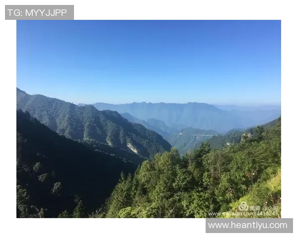 海门三厂足球明星的崛起与成就探索之旅